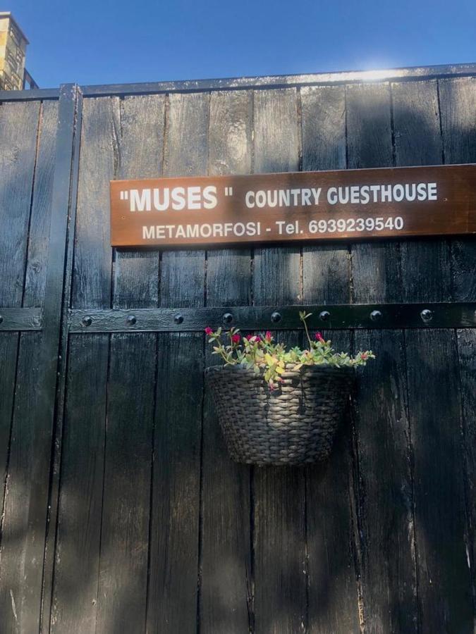 Muses Country House Zagora Exterior foto