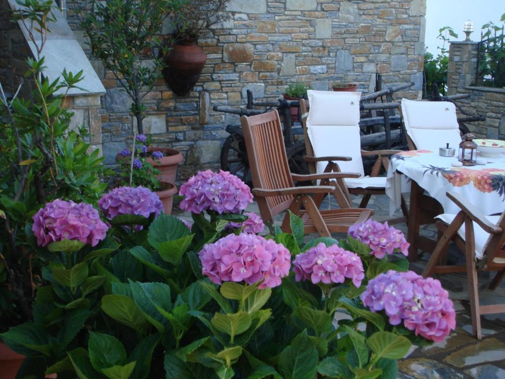 Muses Country House Zagora Exterior foto